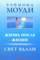 Жизнь после жизни Свет вдали артикул 7564c.