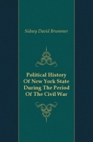 Political History Of New York State During The Period Of The Civil War артикул 7494c.